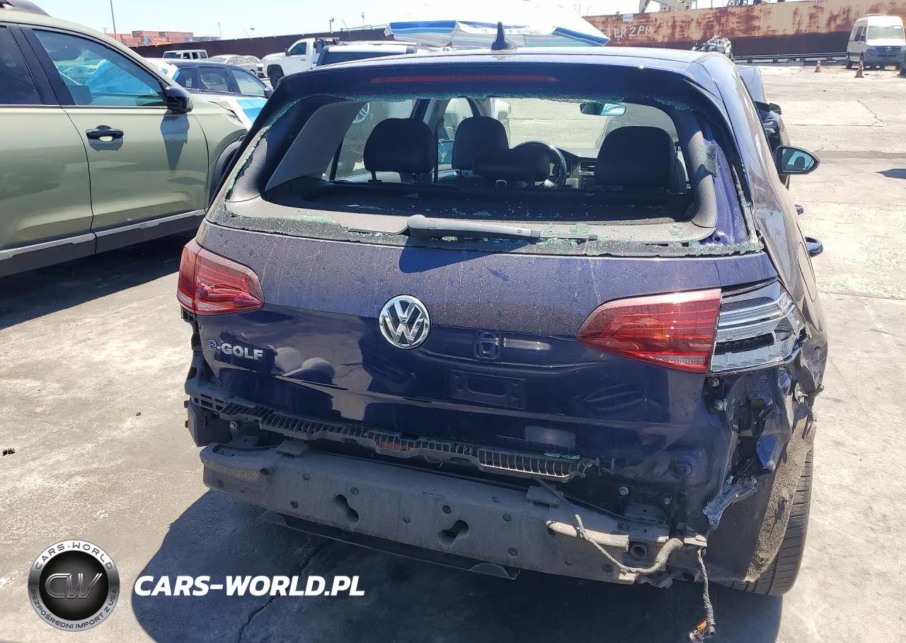 2019 Volkswagen E-Golf Sel Premium VIN:WVWPR7AU7KW918908 - 6