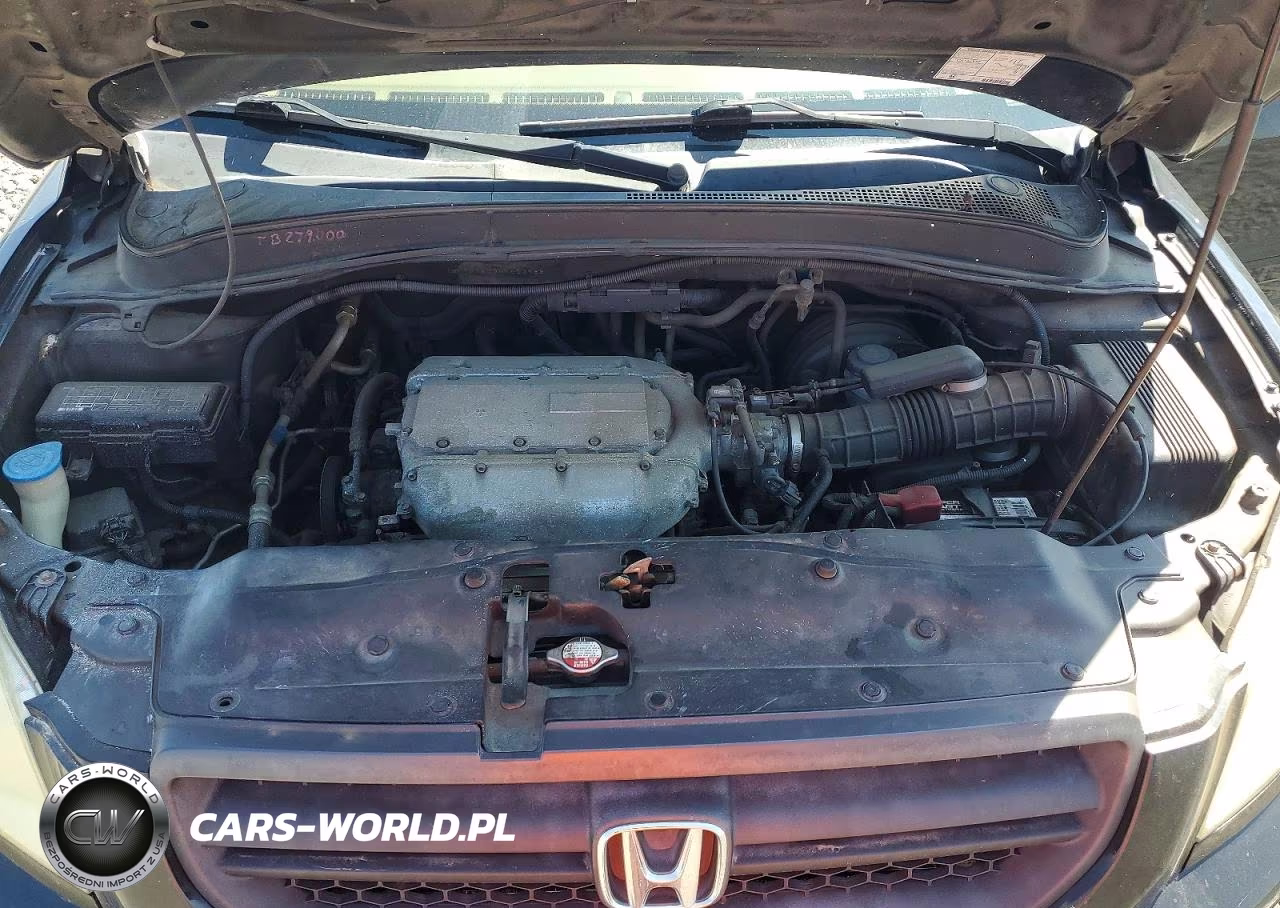 2004 Honda Pilot Exl VIN:2HKYF18634H523988 - 12