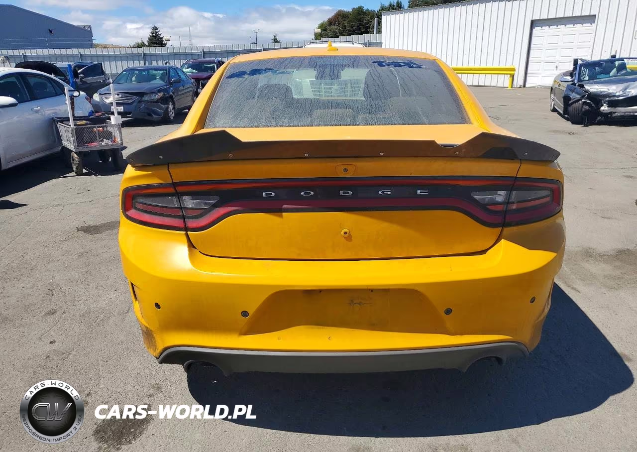 2018 Dodge Charger Police VIN:2C3CDXAG3JH193333 - 6