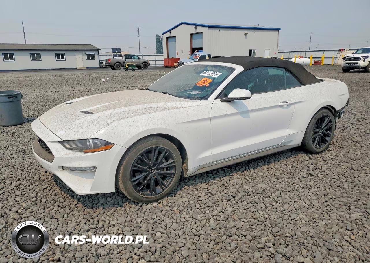 2019 Ford Mustang