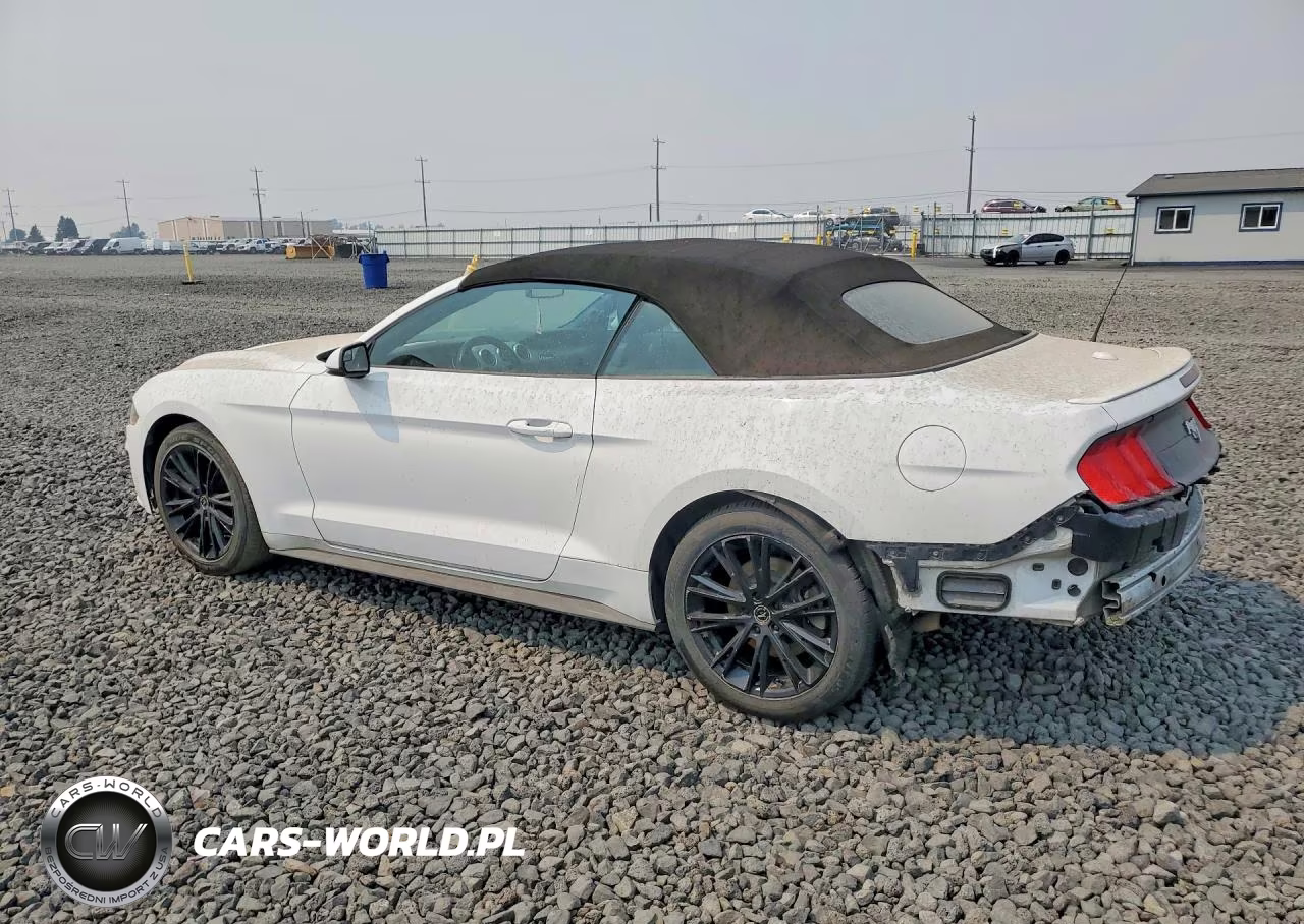 2019 Ford Mustang VIN:1FATP8UHXK5182048 - 2