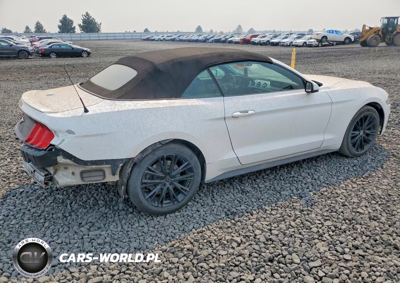 2019 Ford Mustang VIN:1FATP8UHXK5182048 - 3