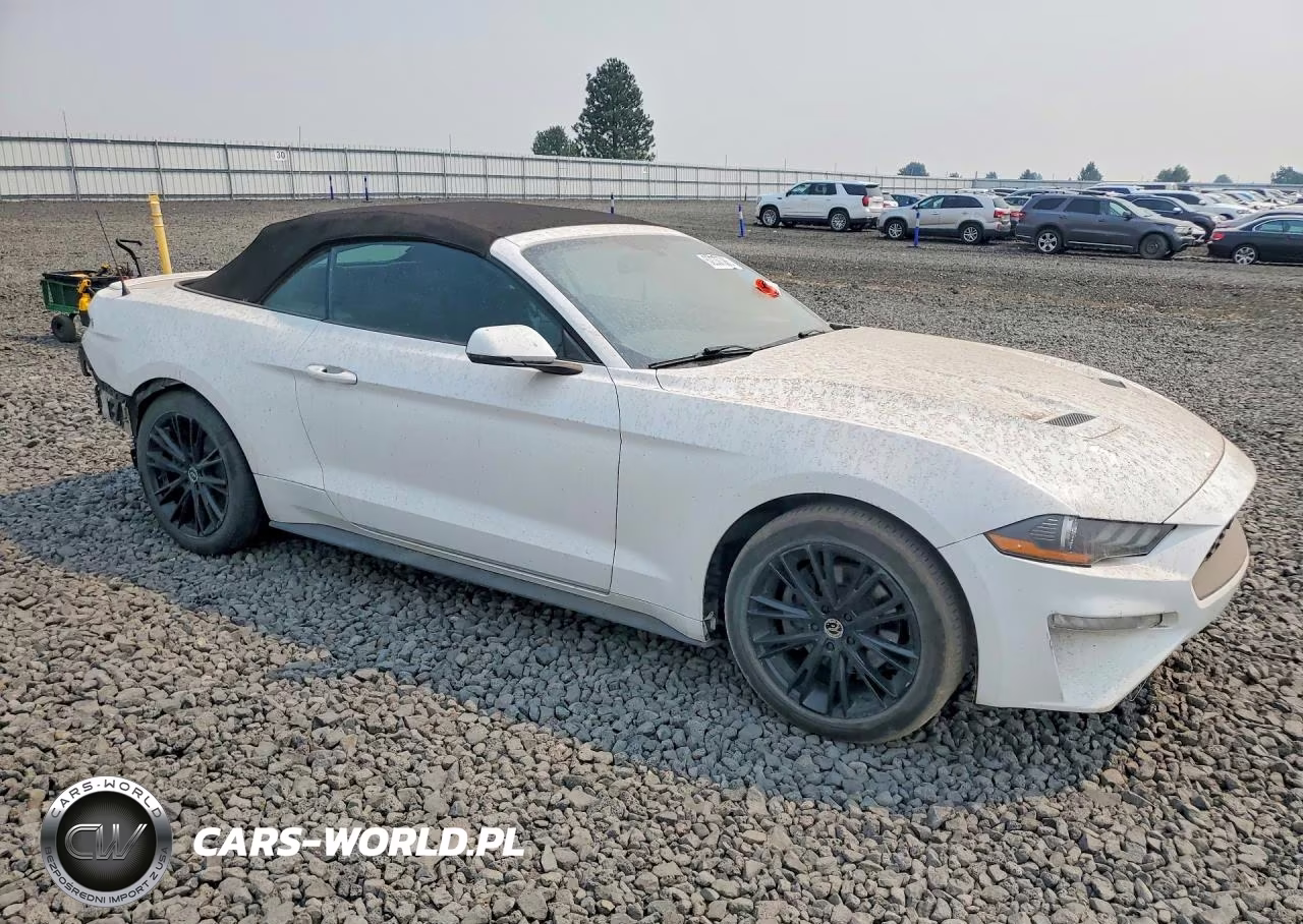2019 Ford Mustang VIN:1FATP8UHXK5182048 - 4
