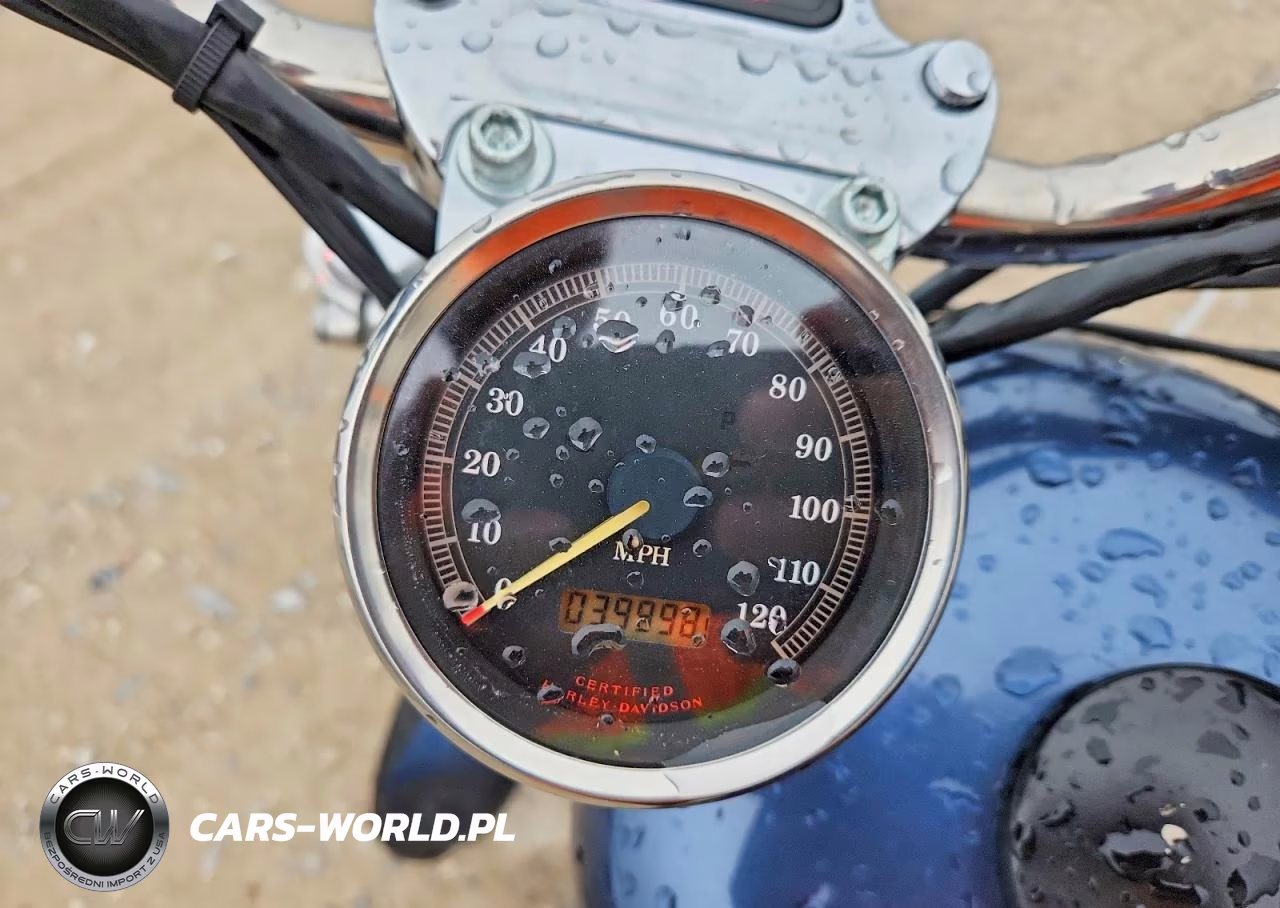 2003 Harley-Davidson Xl883 C VIN:1HD4CJM113K401033 - 7