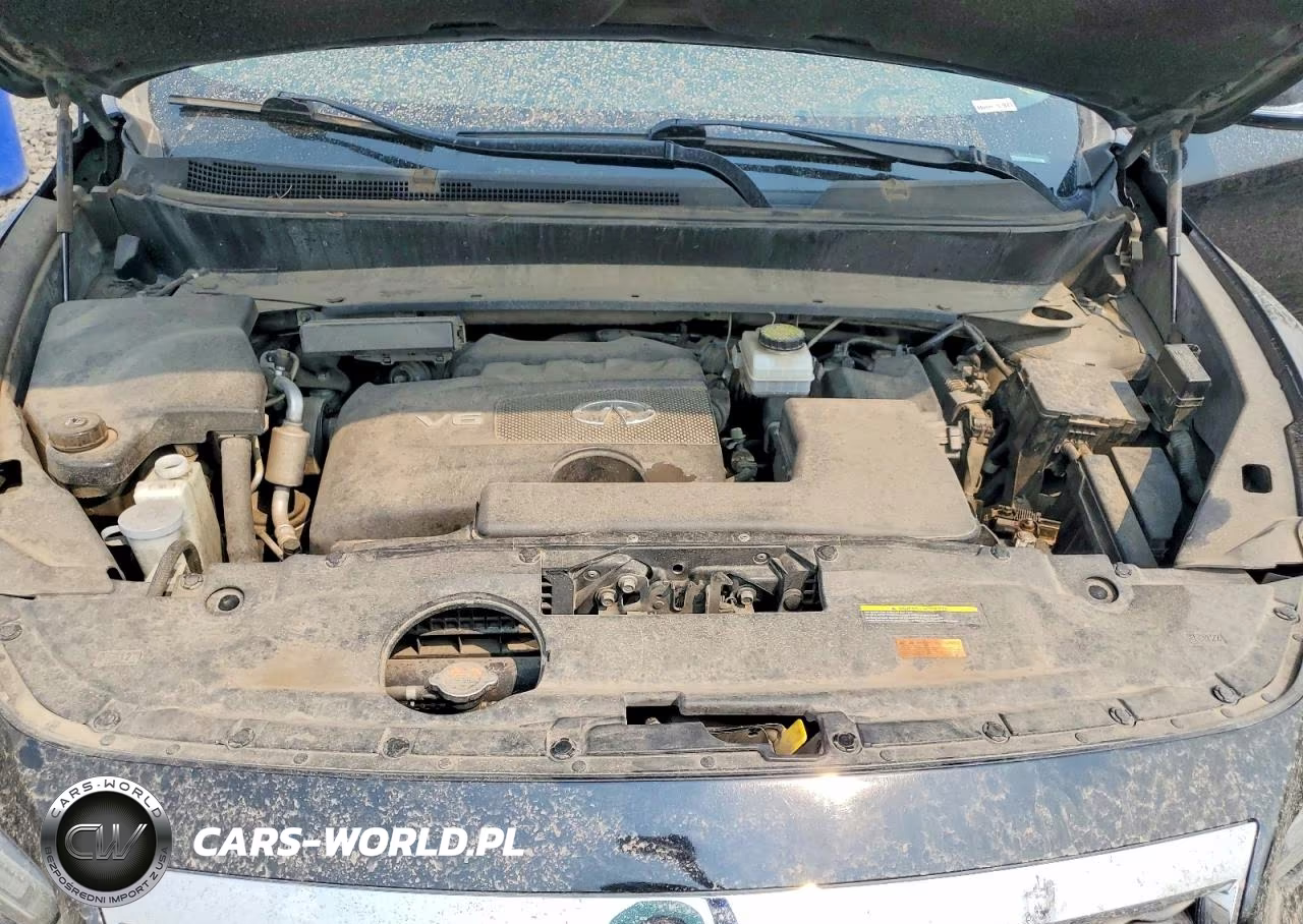 2019 Infiniti Qx60 Pure VIN:5N1DL0MM2KC511535 - 12