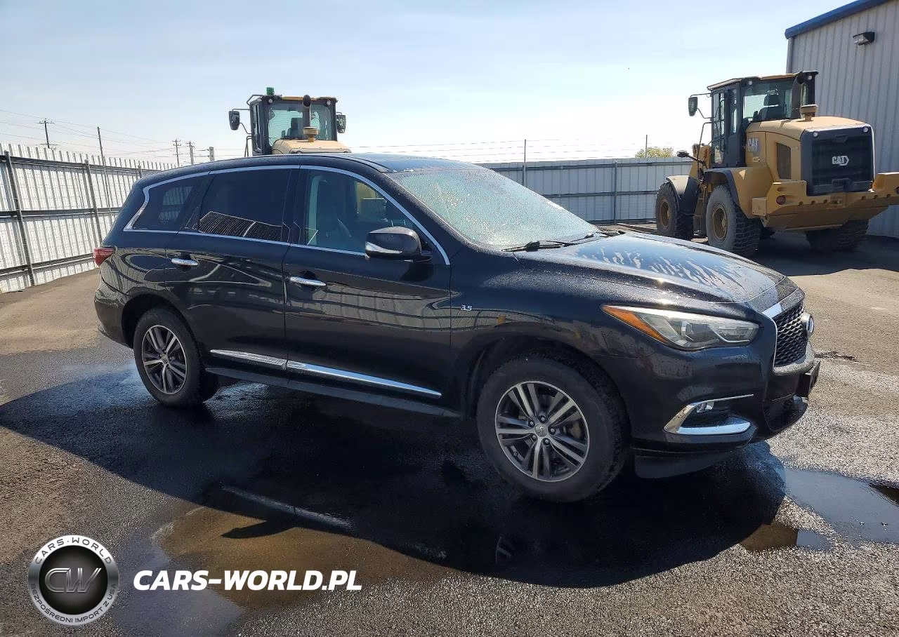 2019 Infiniti Qx60 Pure VIN:5N1DL0MM2KC511535 - 4