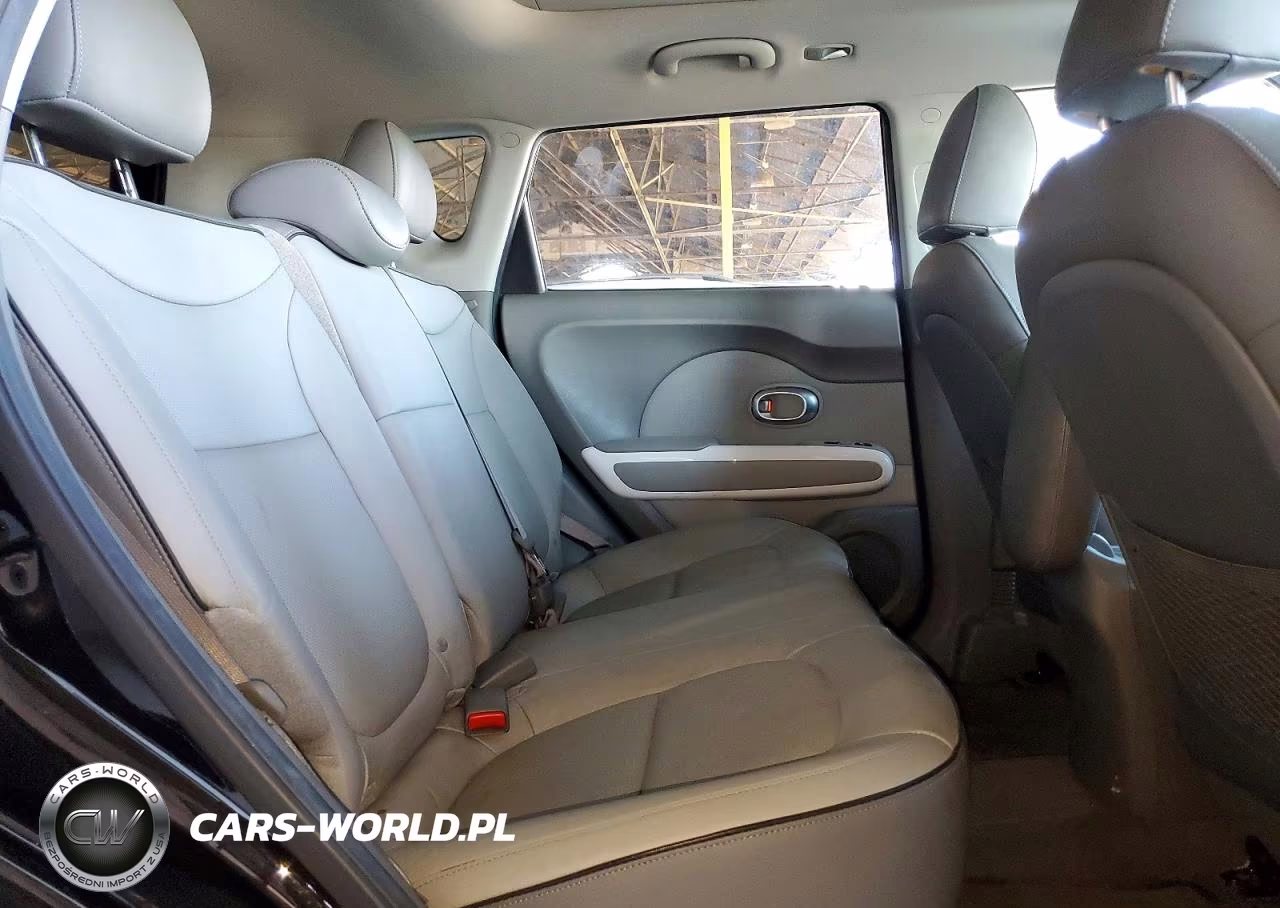 2016 Kia Soul Ev + VIN:KNDJX3AE7G7017150 - 10