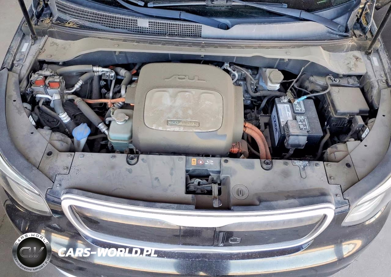 2016 Kia Soul Ev + VIN:KNDJX3AE7G7017150 - 11
