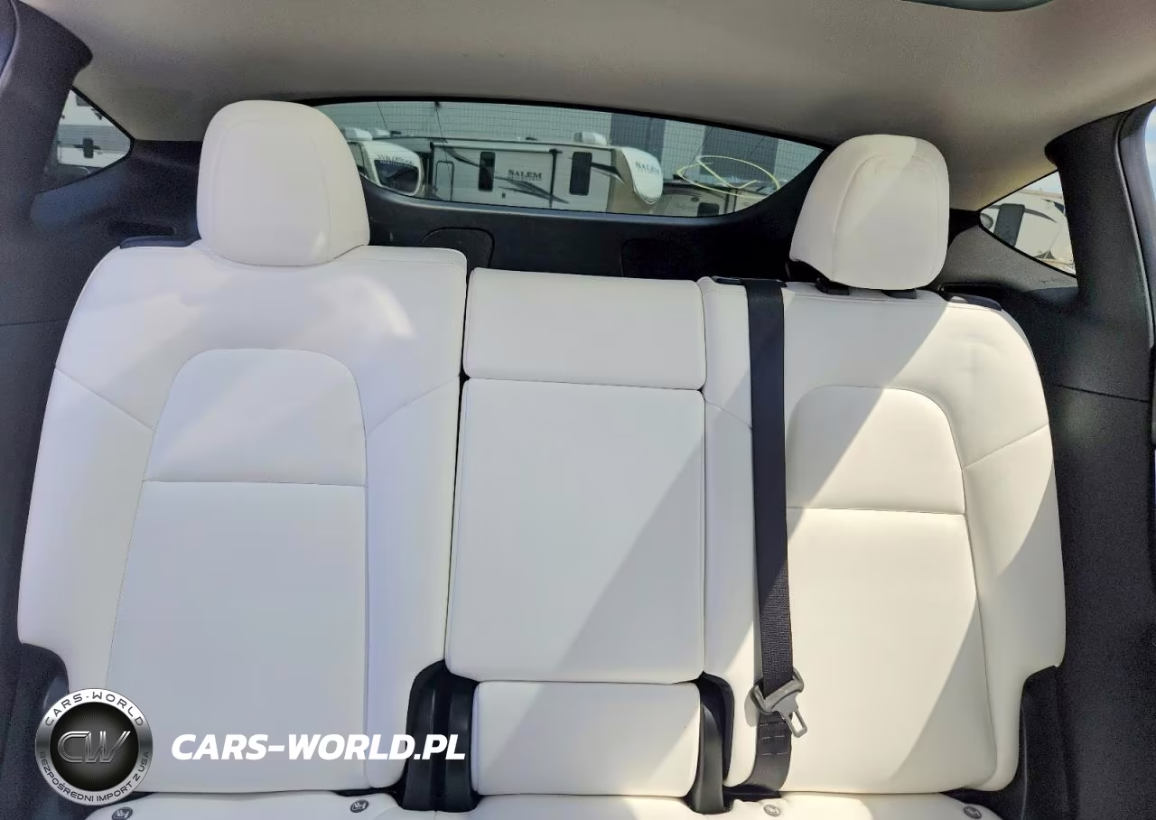 2020 Tesla Model Y VIN:5YJYGDEE5LF020972 - 10