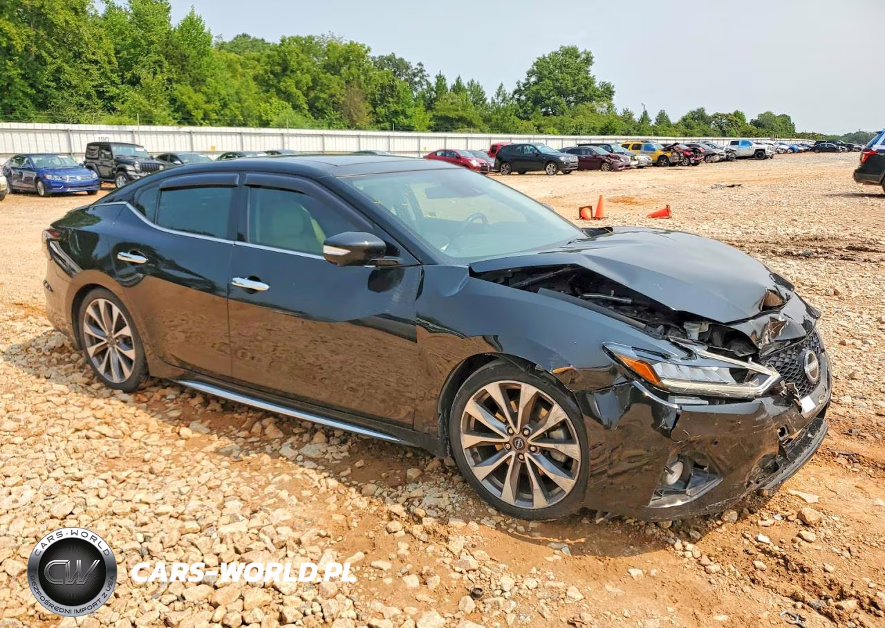 2023 Nissan Maxima Platinum VIN:1N4AA6FV6PC502193 - 4