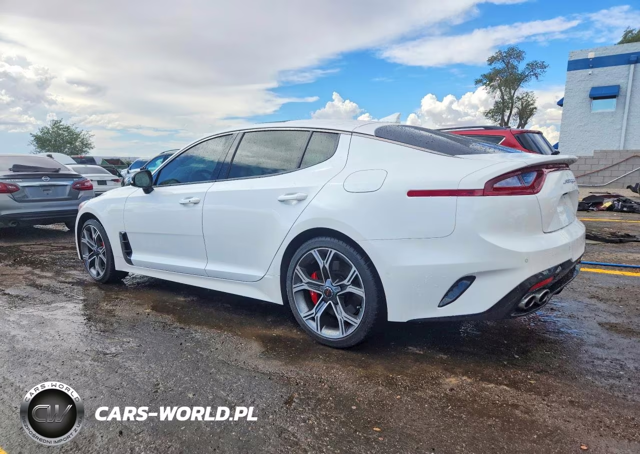 2020 Kia Stinger Gt1 VIN:KNAE45LC0L6072599 - 2