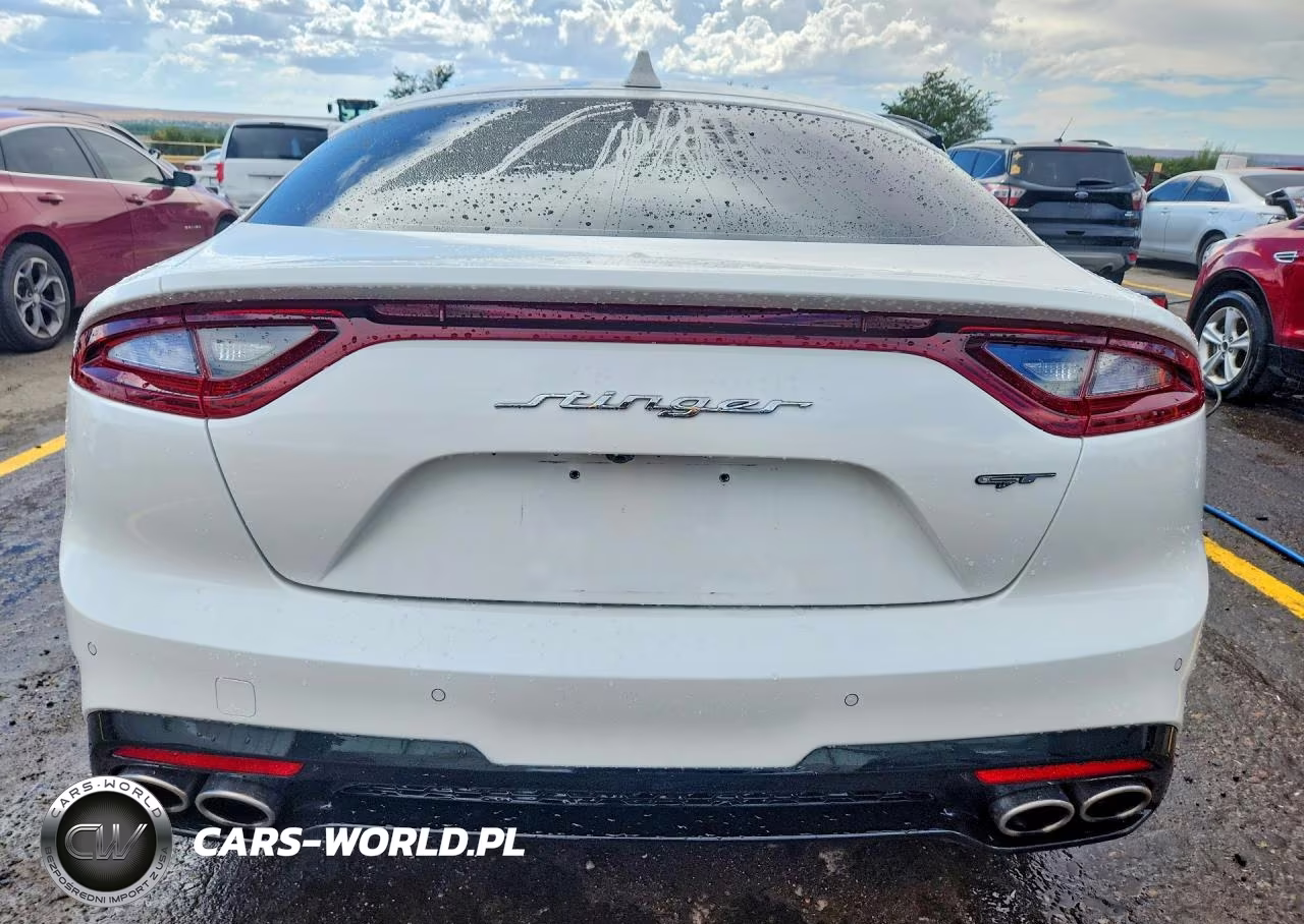 2020 Kia Stinger Gt1 VIN:KNAE45LC0L6072599 - 6