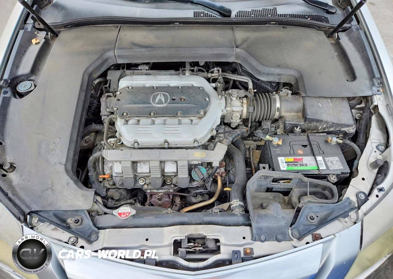 2009 Acura Tl VIN:19UUA86299A017474 - 11