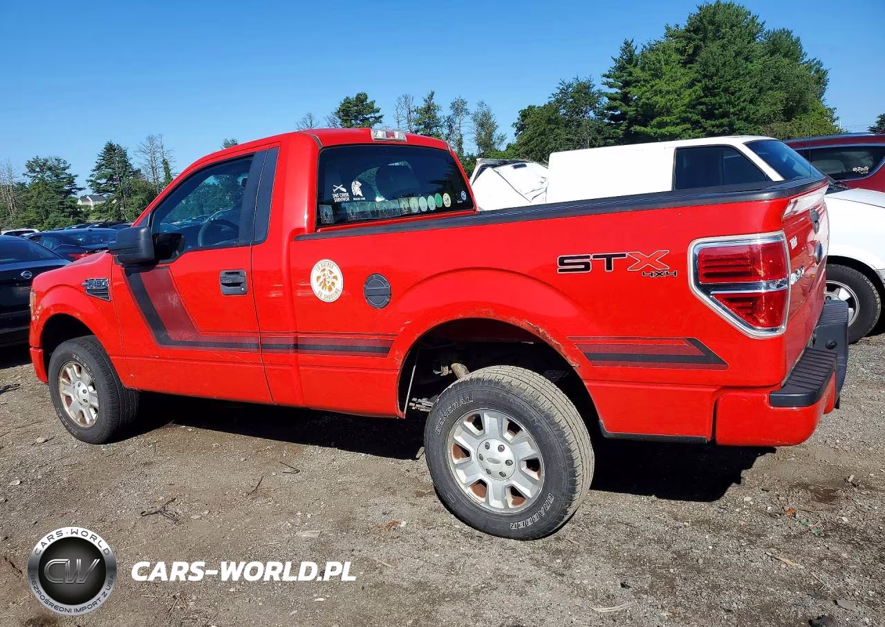 2013 Ford F150 VIN:1FTMF1EM2DKE49367 - 2