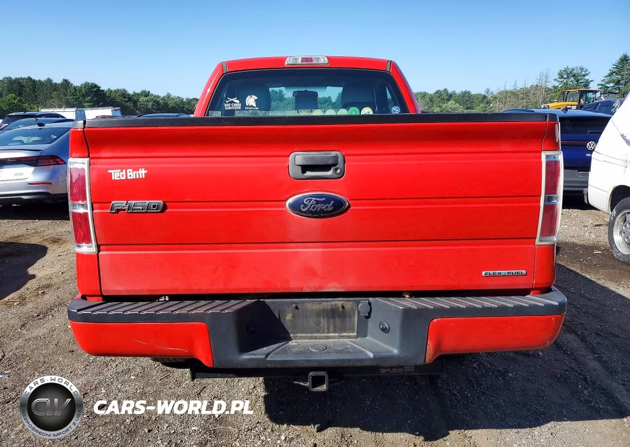 2013 Ford F150 VIN:1FTMF1EM2DKE49367 - 6
