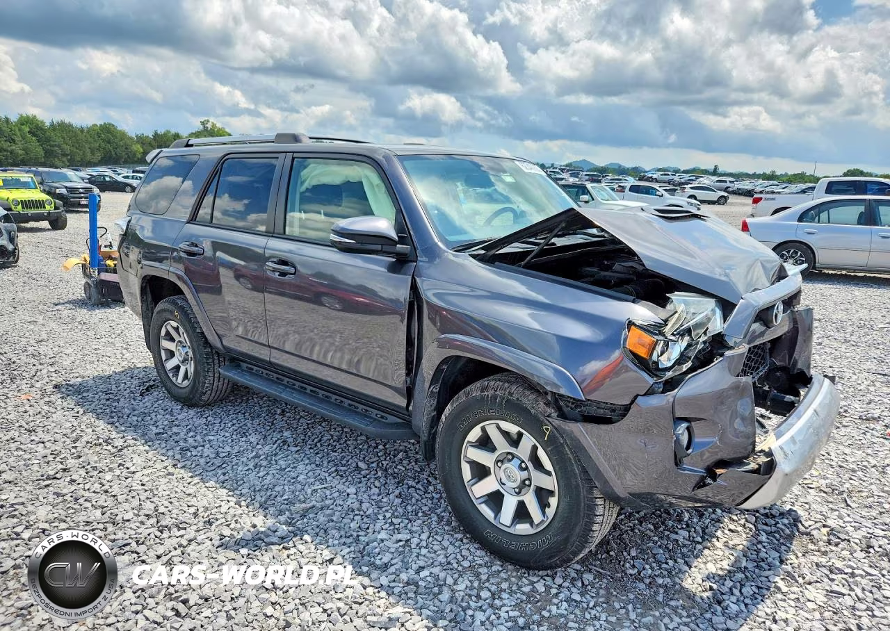 2015 Toyota 4Runner Trail Premium VIN:JTEBU5JR3F5247561 - 4