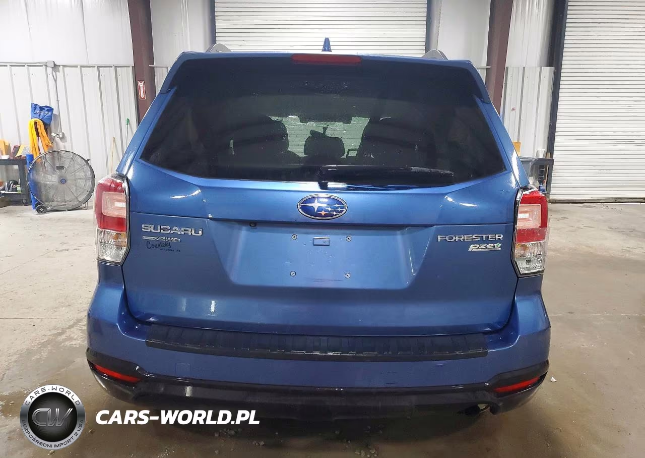 2017 Subaru Forester 2.5I Premium VIN:JF2SJAGC2HH490032 - 6