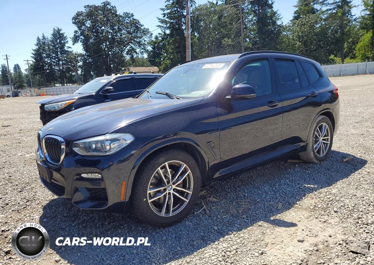 2019 BMW X3 Sdrive30I