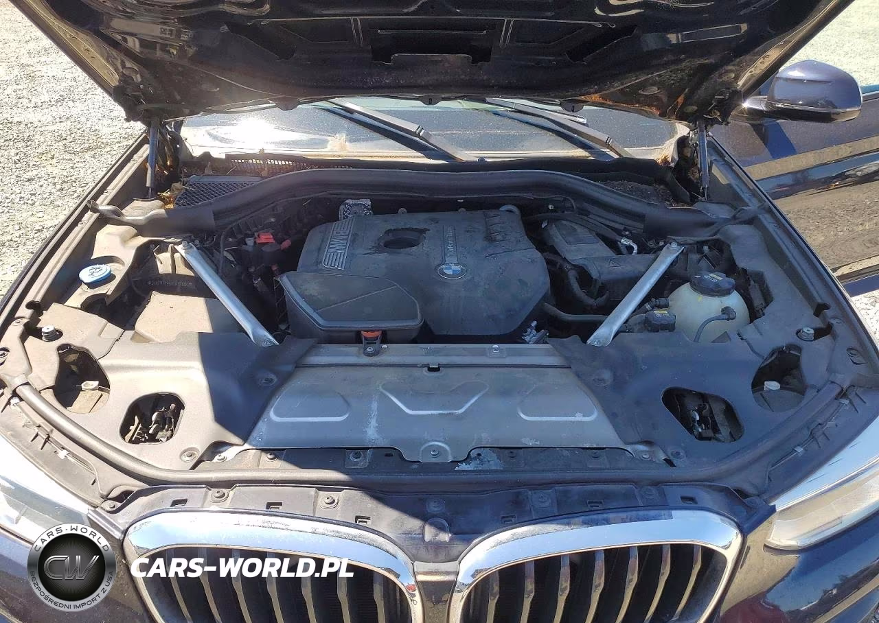 2019 BMW X3 Sdrive30I VIN:5UXTR7C55KLF27604 - 12