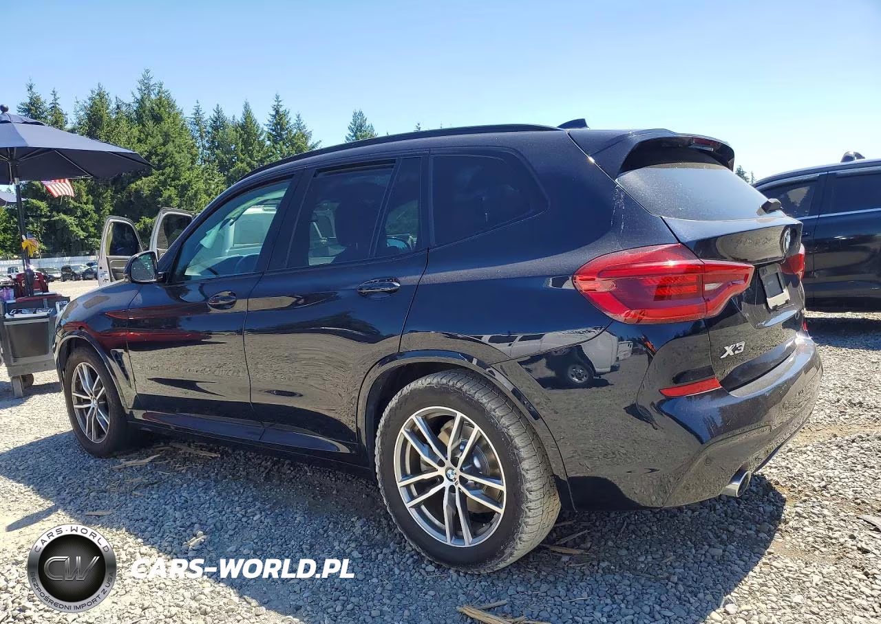 2019 BMW X3 Sdrive30I VIN:5UXTR7C55KLF27604 - 2