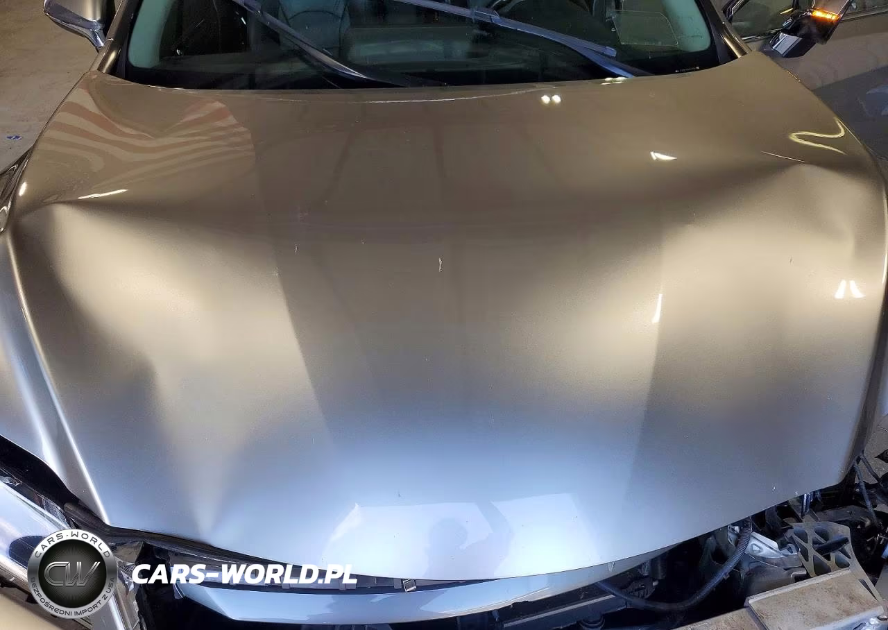 2019 Lexus Rx 350 L VIN:JTJDZKCA2K2018026 - 11