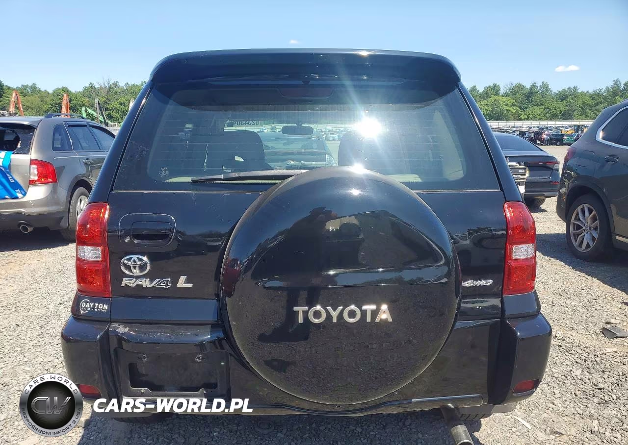 2004 Toyota Rav4 Base VIN:JTEHD20V146007097 - 6