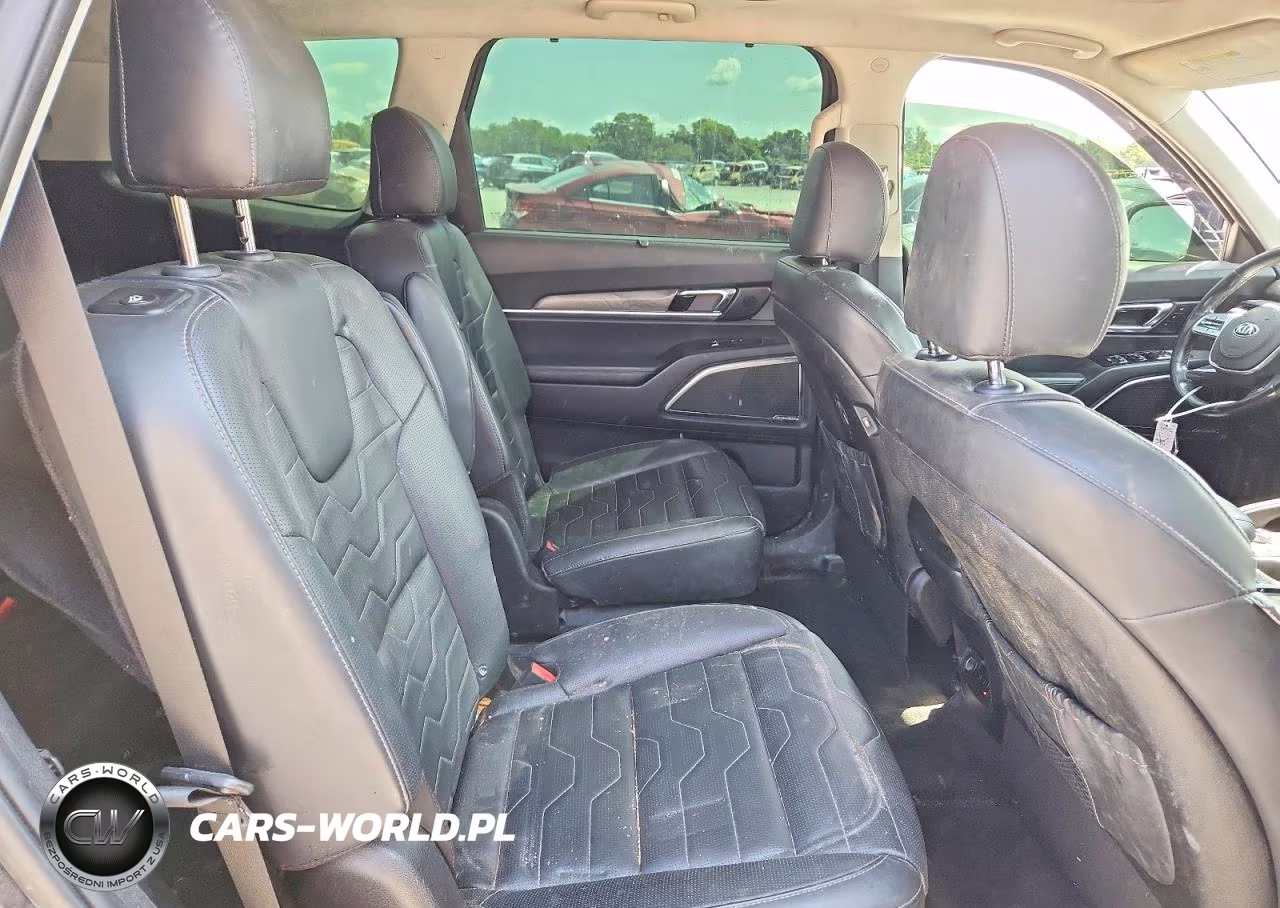 2020 Kia Telluride Sx VIN:5XYP5DHC7LG079851 - 11