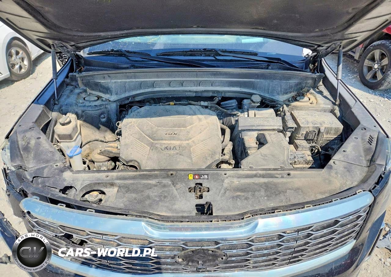2020 Kia Telluride Sx VIN:5XYP5DHC7LG079851 - 12