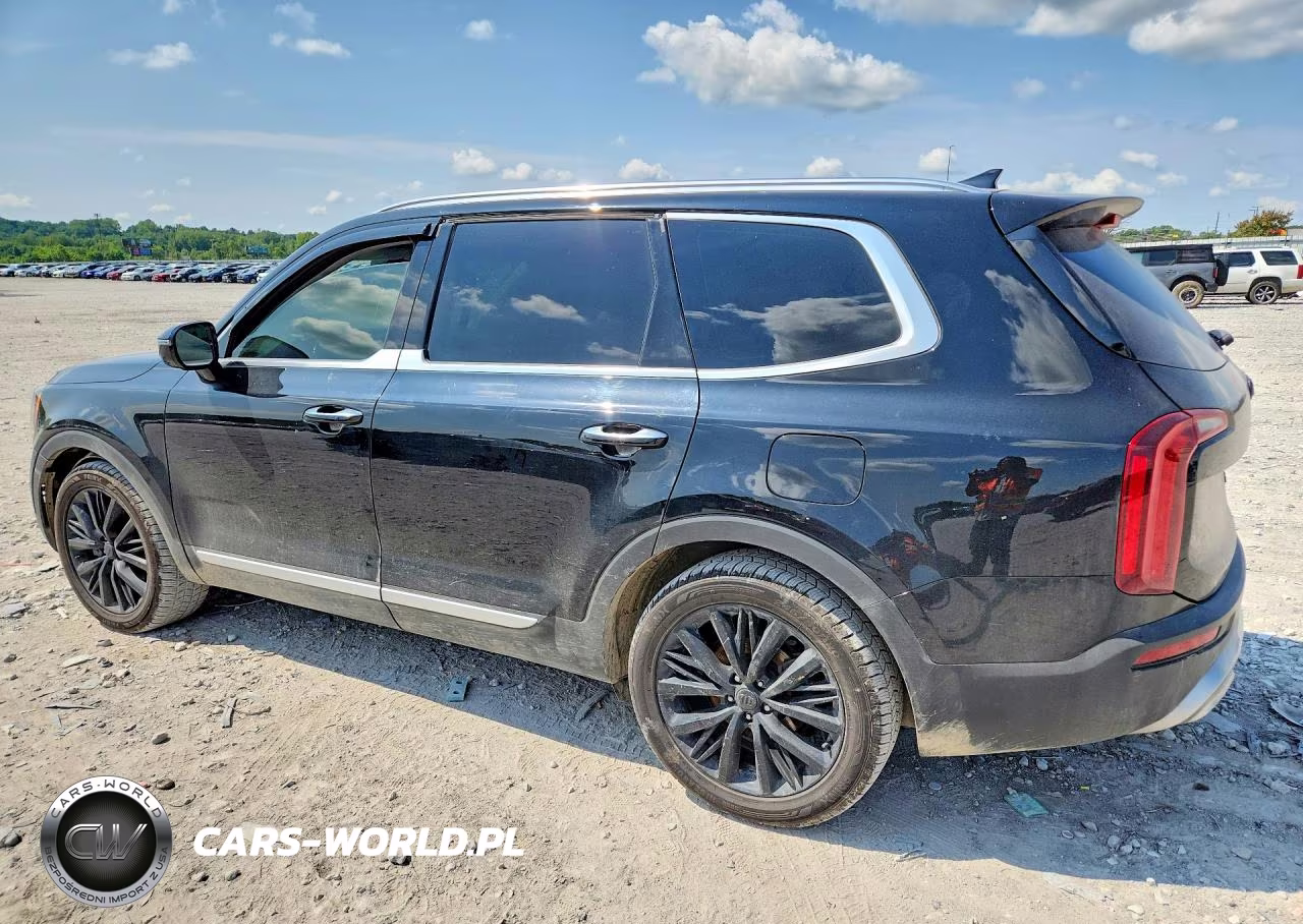 2020 Kia Telluride Sx VIN:5XYP5DHC7LG079851 - 2