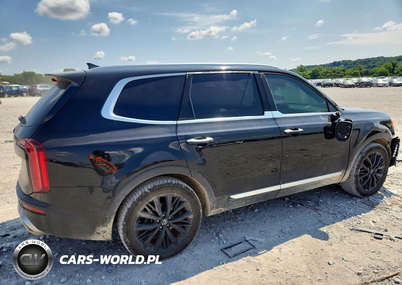 2020 Kia Telluride Sx VIN:5XYP5DHC7LG079851 - 3