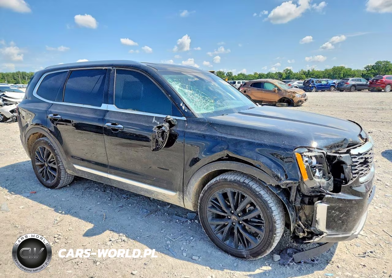 2020 Kia Telluride Sx VIN:5XYP5DHC7LG079851 - 4