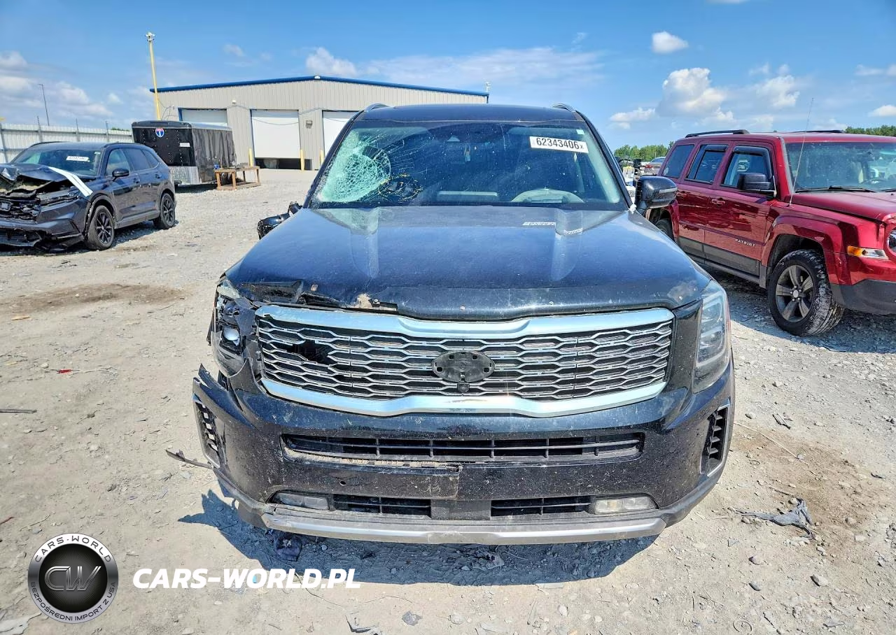 2020 Kia Telluride Sx VIN:5XYP5DHC7LG079851 - 5