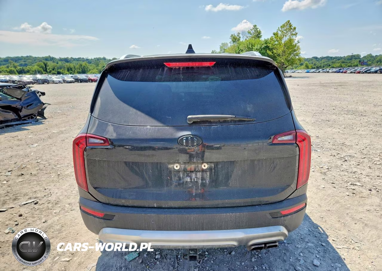 2020 Kia Telluride Sx VIN:5XYP5DHC7LG079851 - 6