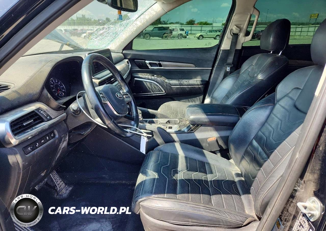 2020 Kia Telluride Sx VIN:5XYP5DHC7LG079851 - 7