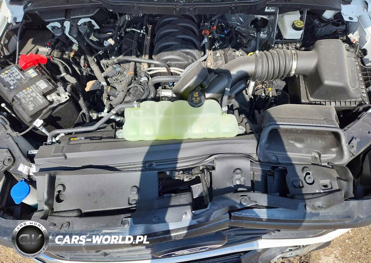 2026 Ford F150 Xl VIN:1FTEW1K57TKE30202 - 11