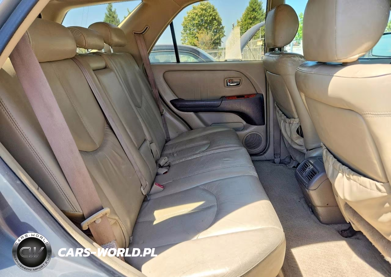2002 Lexus Rx 300 VIN:JTJGF10U420126061 - 11
