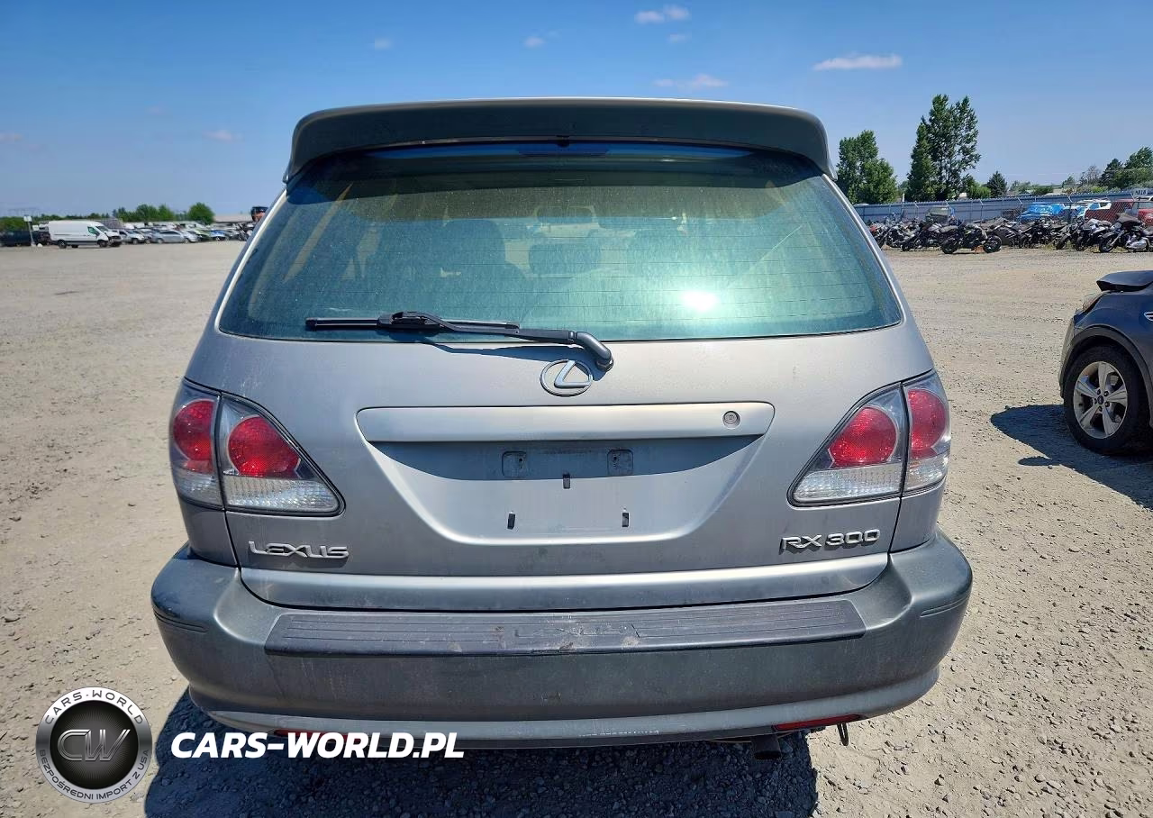 2002 Lexus Rx 300 VIN:JTJGF10U420126061 - 6