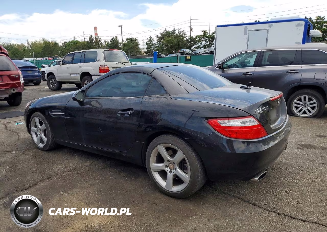 2014 Mercedes-Benz Slk 250 VIN:WDDPK4HAXEF087591 - 2
