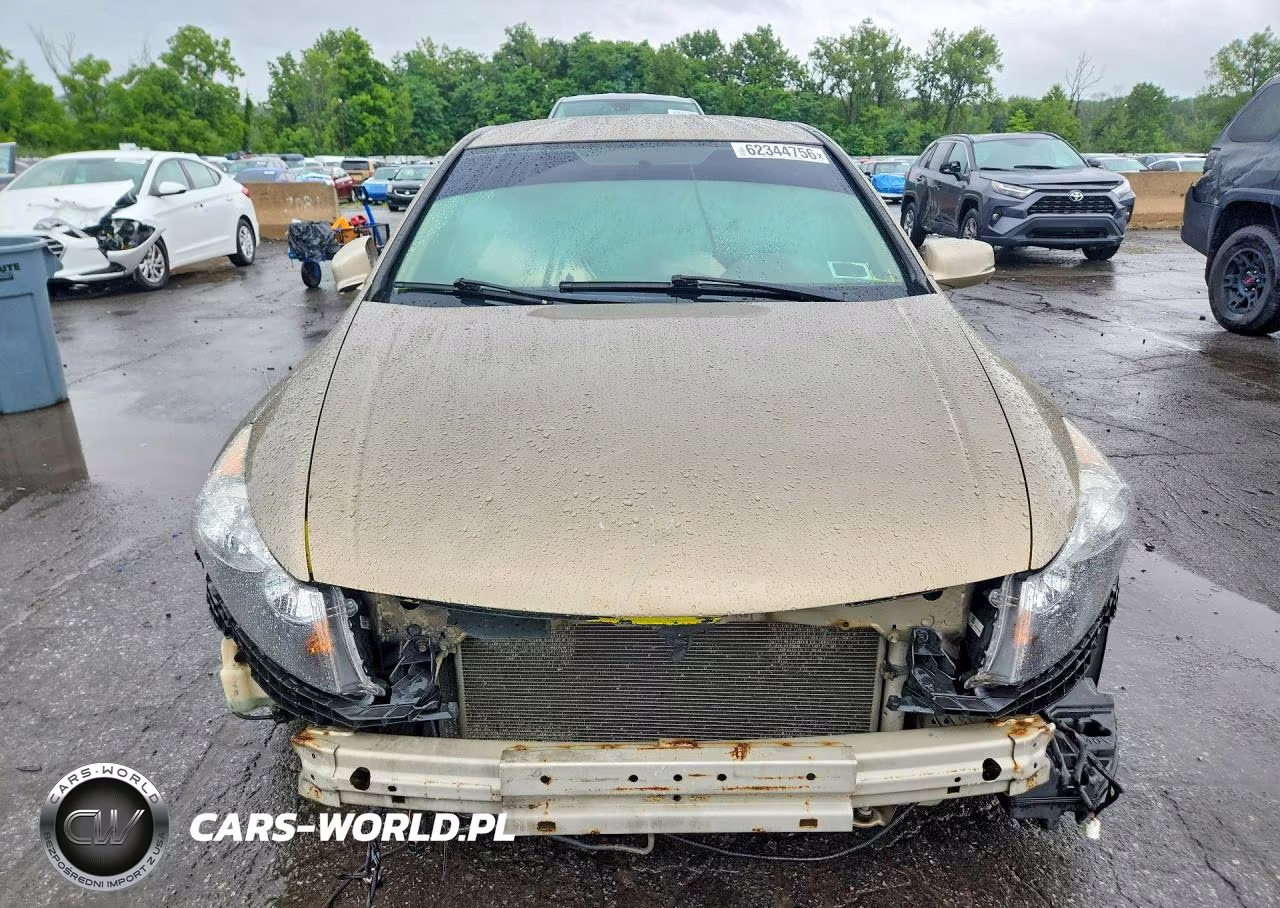 2010 Honda Accord Lxp VIN:1HGCP2F46AA016280 - 5