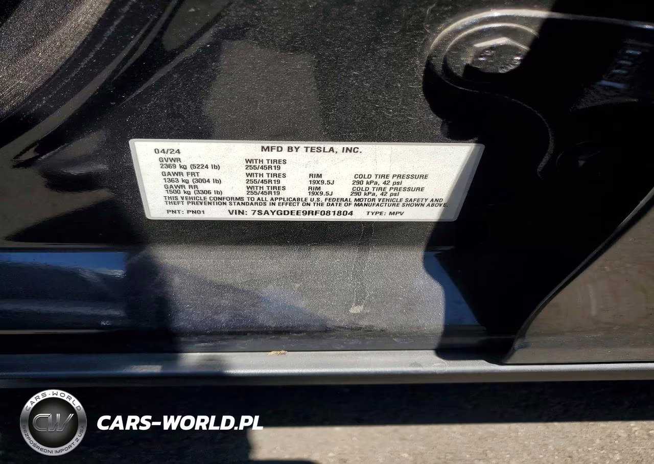2024 Tesla Model Y VIN:7SAYGDEE9RF081804 - 13