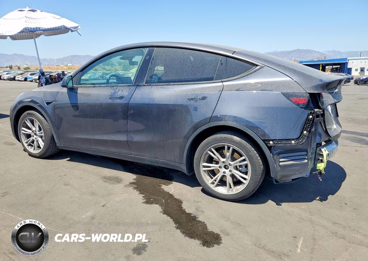 2024 Tesla Model Y VIN:7SAYGDEE9RF081804 - 2