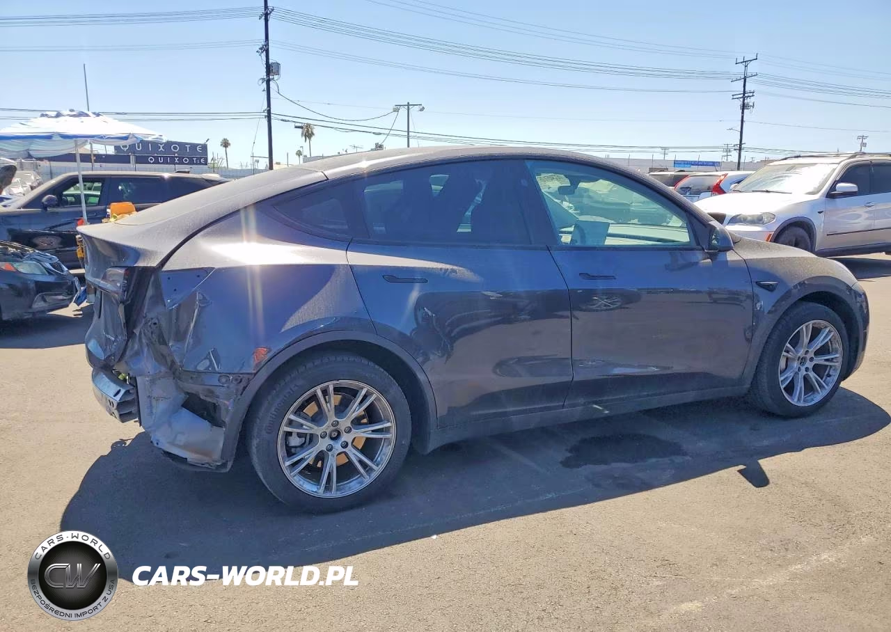 2024 Tesla Model Y VIN:7SAYGDEE9RF081804 - 3