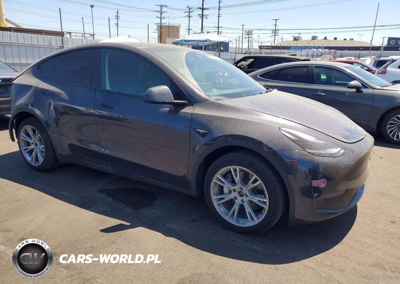 2024 Tesla Model Y VIN:7SAYGDEE9RF081804 - 4