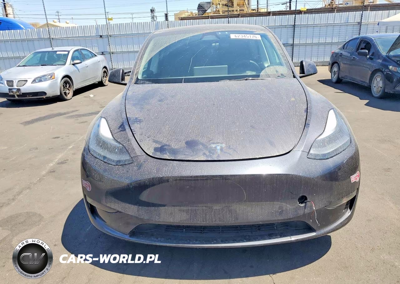 2024 Tesla Model Y VIN:7SAYGDEE9RF081804 - 5
