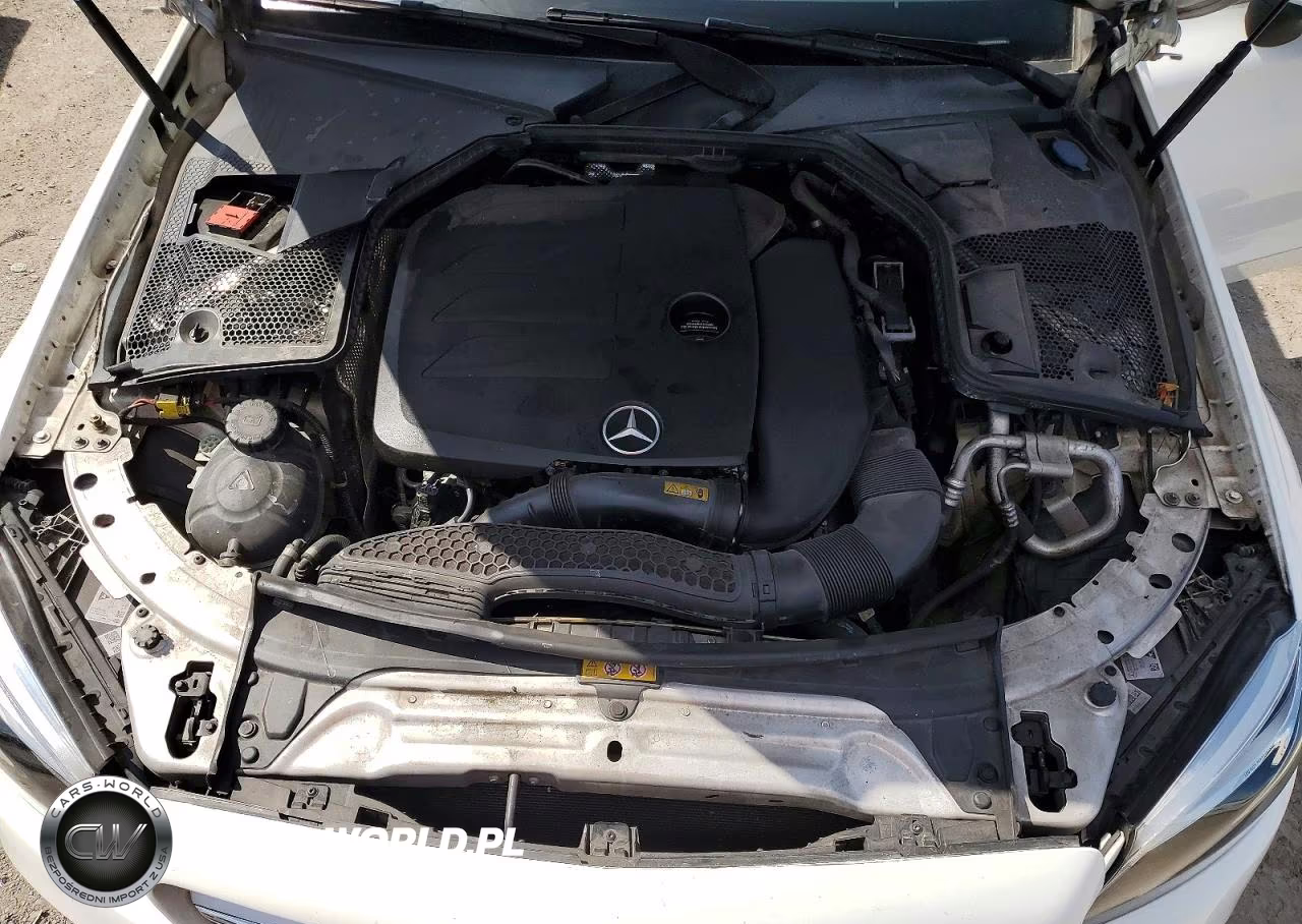 2019 Mercedes-Benz C 300 VIN:WDDWK8DBXKF931416 - 11
