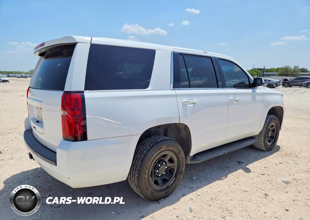 2019 Chevrolet Tahoe Police VIN:1GNLCDEC6KR283864 - 3