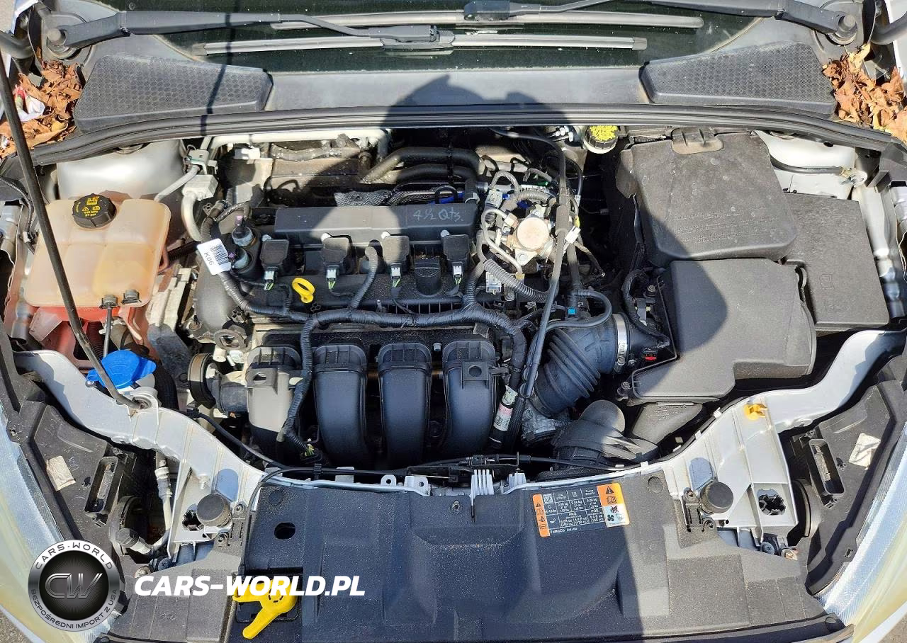 2016 Ford Focus Se VIN:1FADP3F2XGL341038 - 11