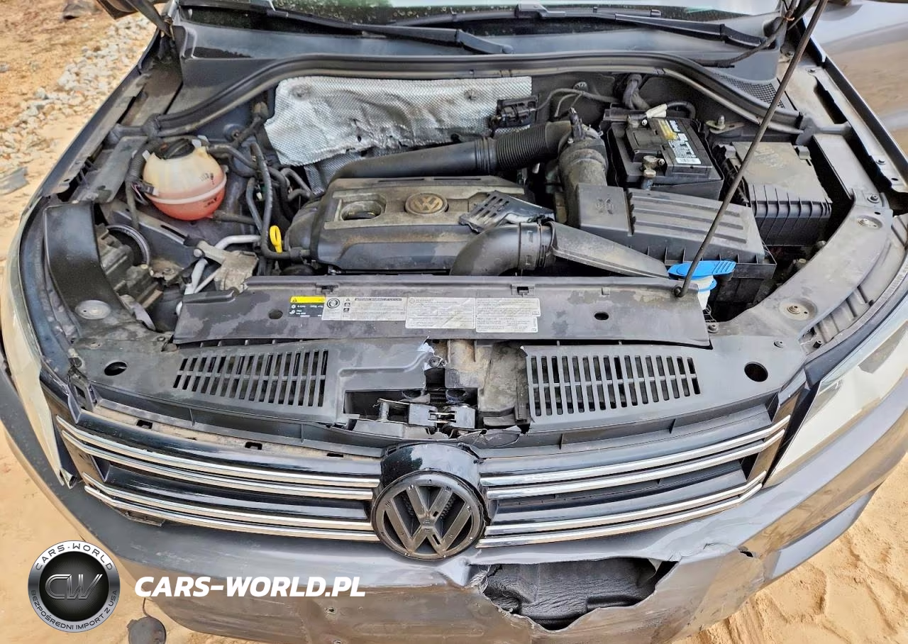 2014 Volkswagen Tiguan S VIN:WVGBV3AX3EW550123 - 12
