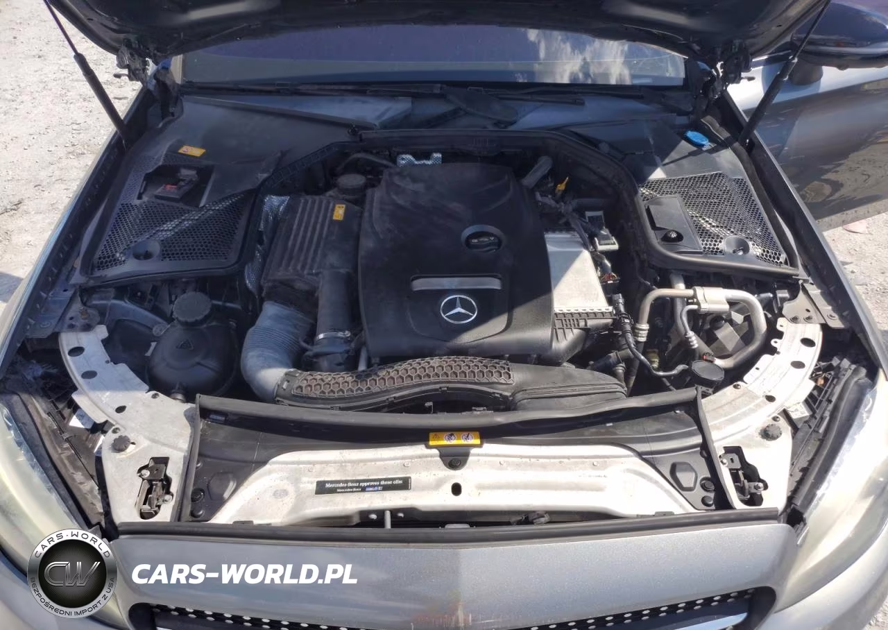 2017 Mercedes-Benz C 300 VIN:WDDWJ4JB0HF356445 - 11