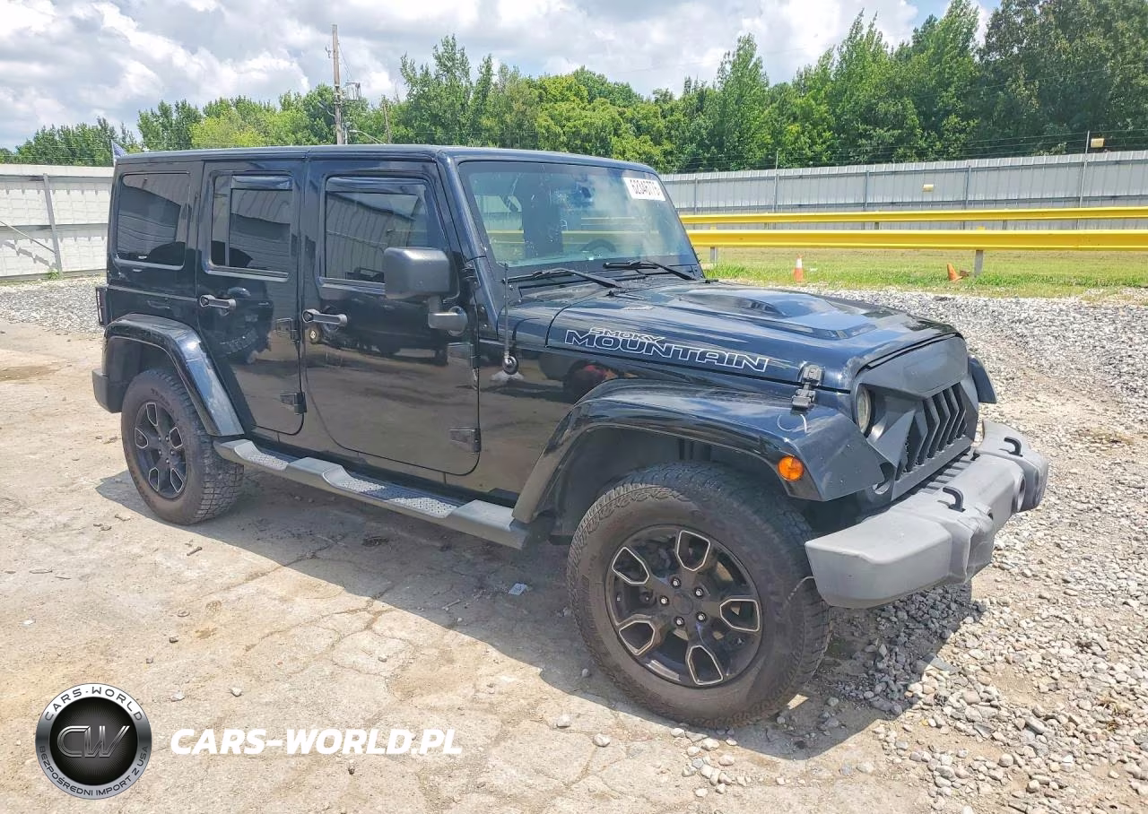 2017 Jeep Wrangler Unlimited Sahara VIN:1C4BJWEG7HL625469 - 4